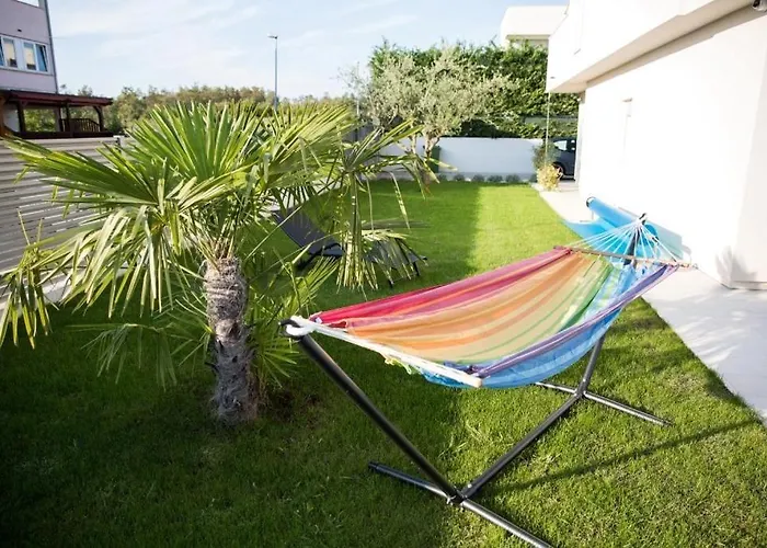 Virtus * 카리가도르