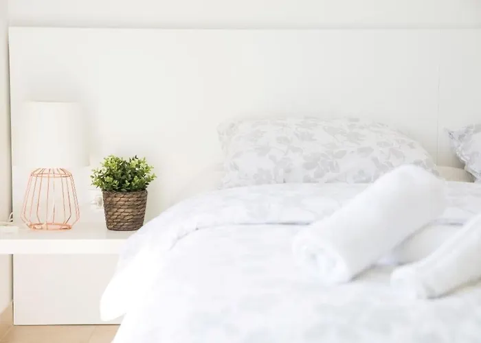 Virtus 카리가도르