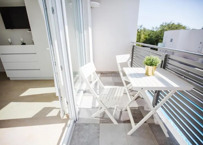 Virtus * 카리가도르