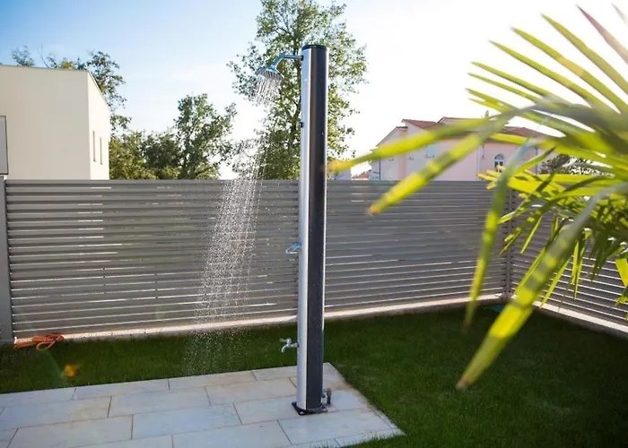 Virtus * 카리가도르